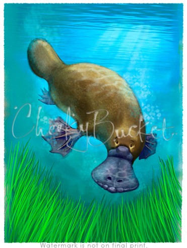 cheekybucket platypus,childrens wall art,colourful kids prints,bedroom wall art,decorative kids animal prints