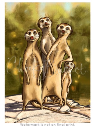 childrens meerkat picture,cheekybucket meerkat,childrens wall art,colourful kids prints,bedroom wall art
