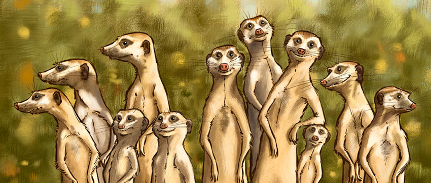 cheekybucket,art,meerkats